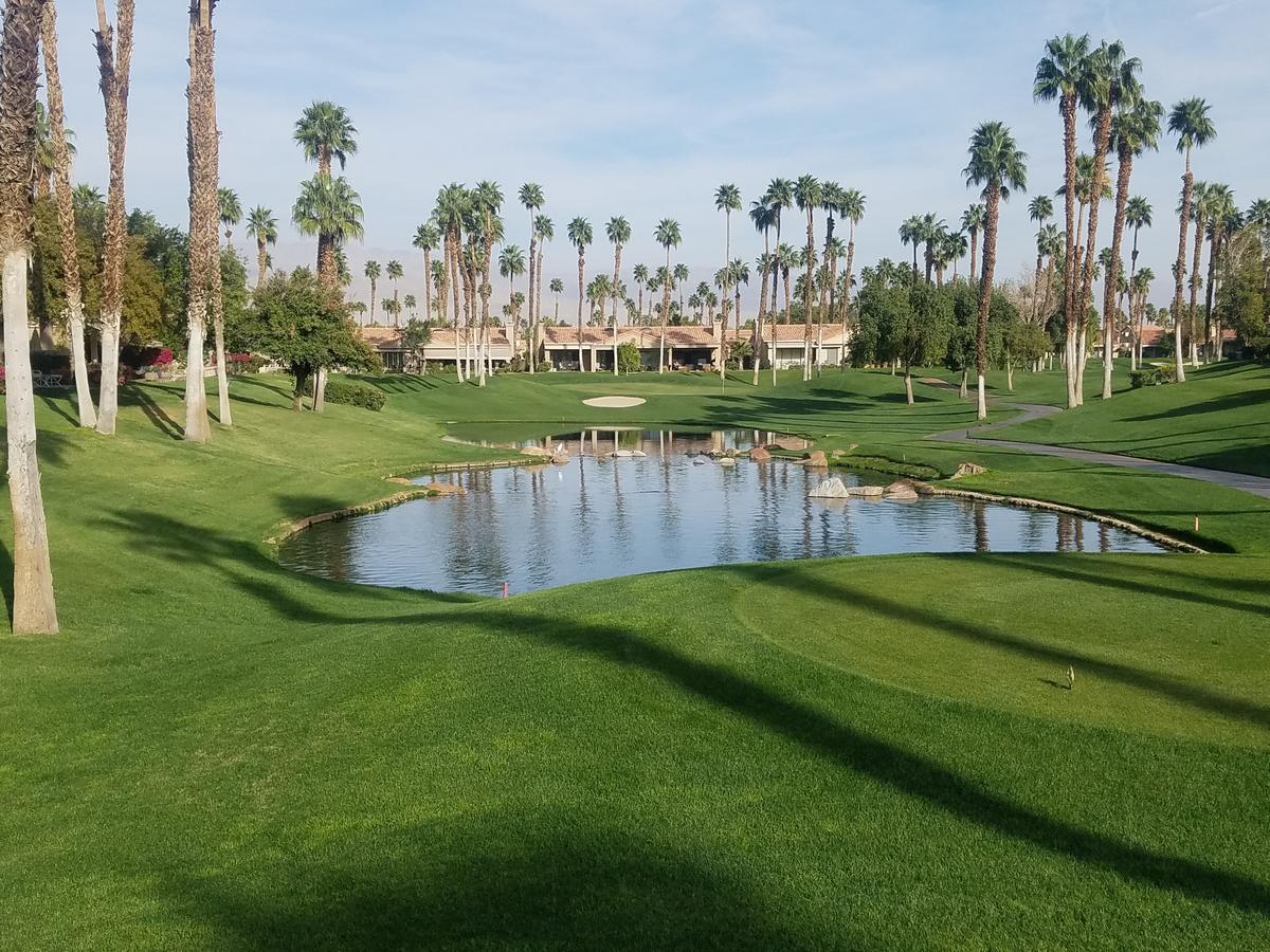 Begonia Palm Desert Exterior photo